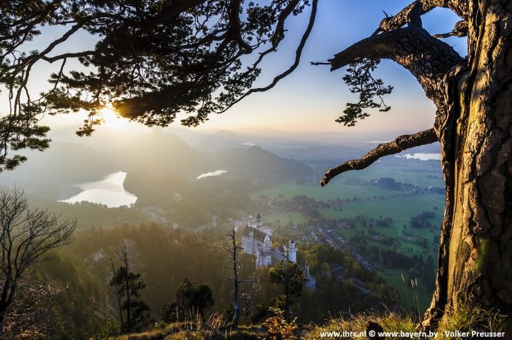 Neuschwanstein Castle © www.bayern.by - Volker Preusser.jpg