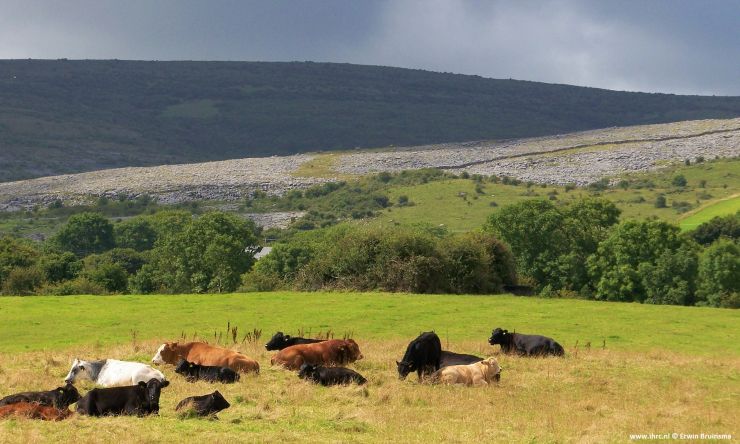 The Burren © Erwin Bruinsma.jpg