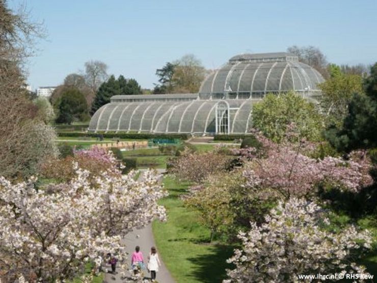 kew_gardens.jpg