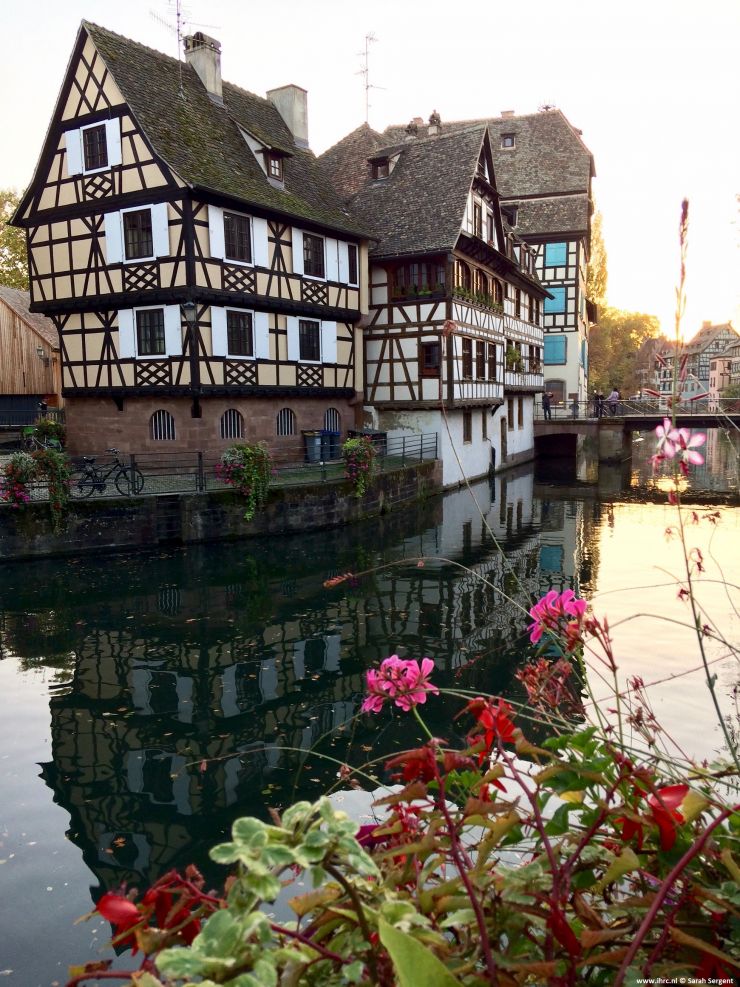 Strassbourg Maisons a colombages Reflets Petite France © Sarah Sergent.jpg